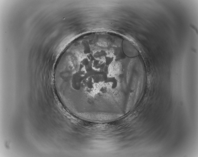 X0000102481279200808291619