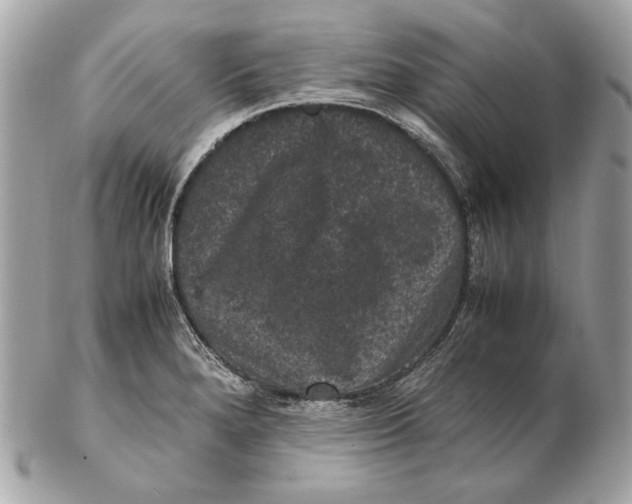 X0000102481280200808291619