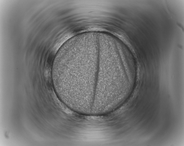 X0000102481281200808291619