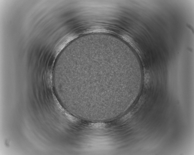 X0000102481282200808291619