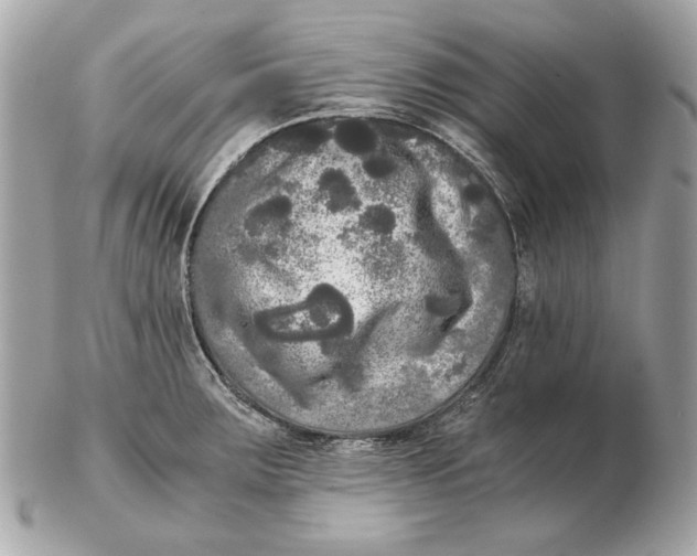 X0000102481283200808291619