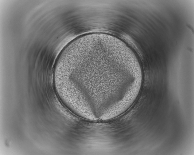 X0000102481284200808291619