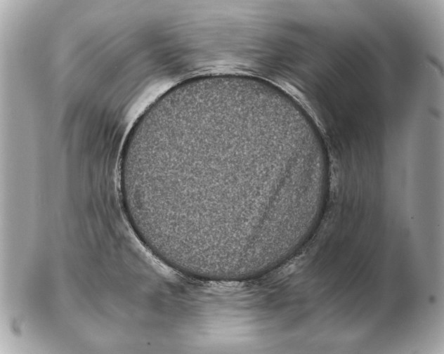 X0000102481285200808291619