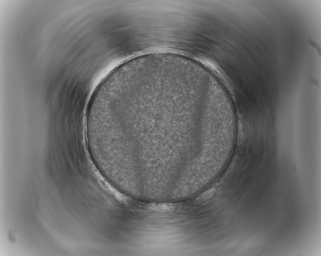 X0000102481286200808291619