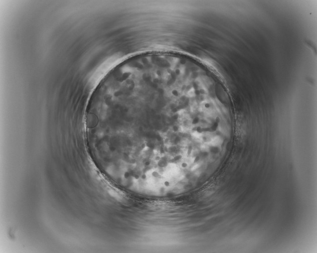 X0000102481287200808291619