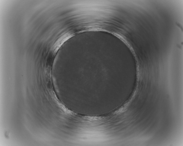 X0000102481289200808291619