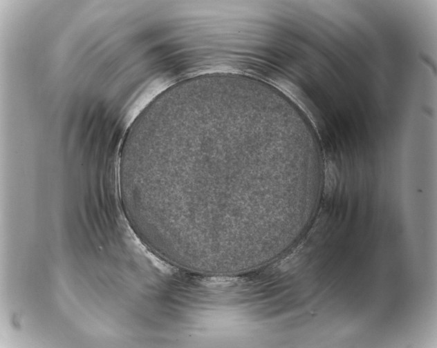 X0000102481290200808291619