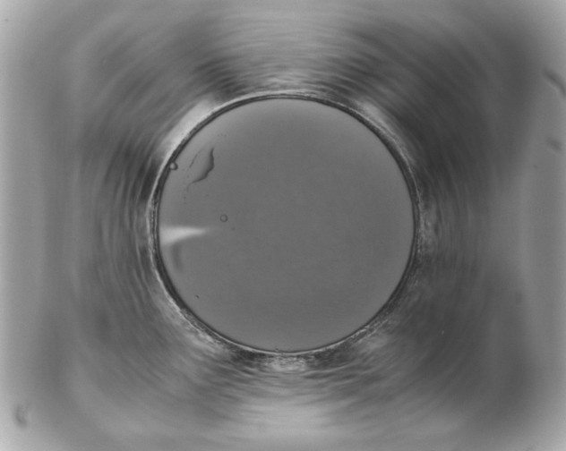 X0000102481291200808291619