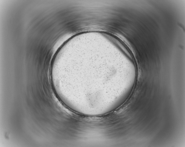 X0000102481293200808291619