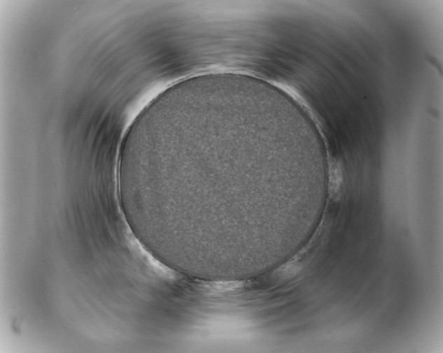 X0000102481294200808291619