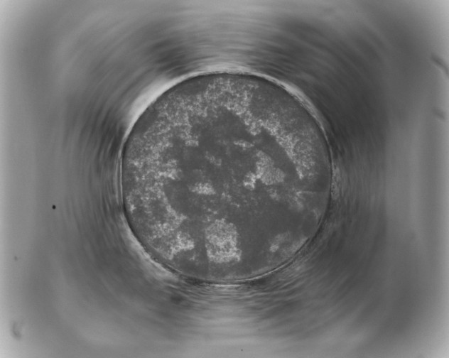 X0000102481295200808291619