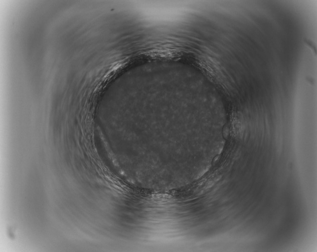 X0000102481297200808291618