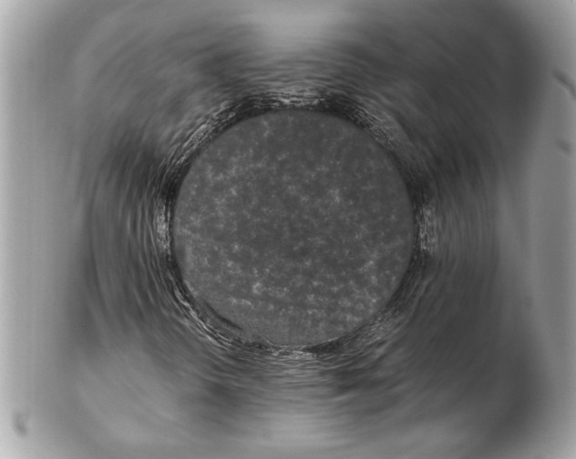 X0000102481298200808291618