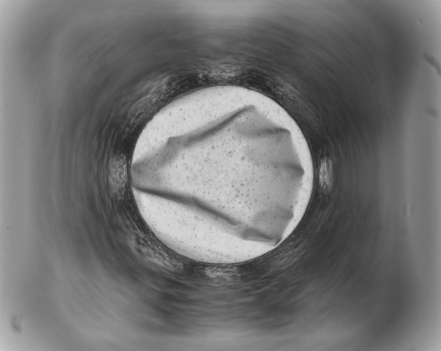 X0000102481299200808291618