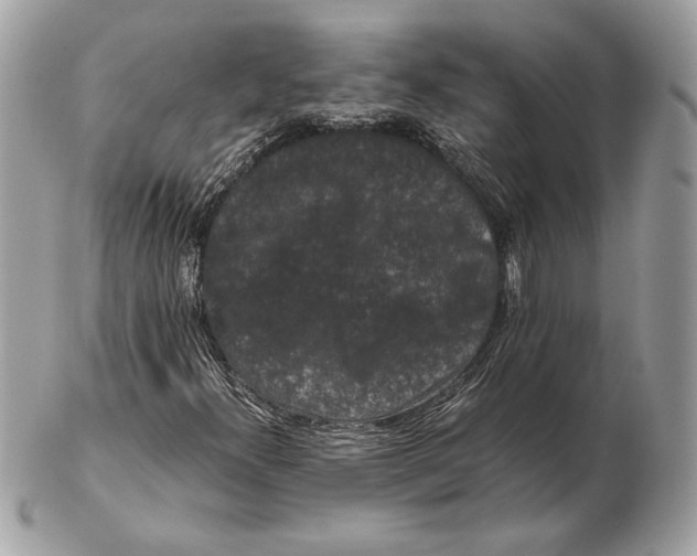 X0000102481300200808291618