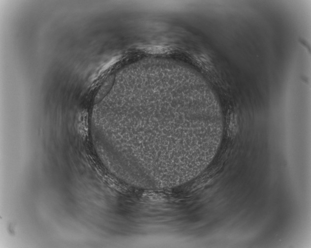 X0000102481301200808291618