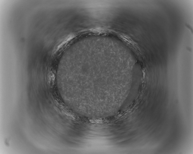 X0000102481302200808291618