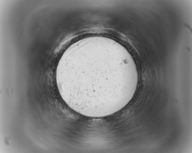 X0000102481304200808291618