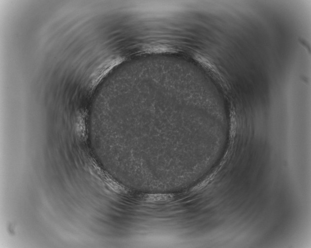 X0000102481305200808291618