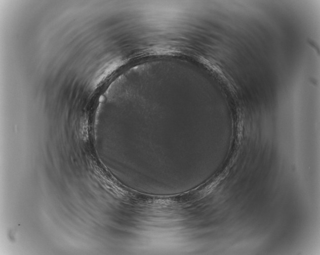 X0000102481306200808291618