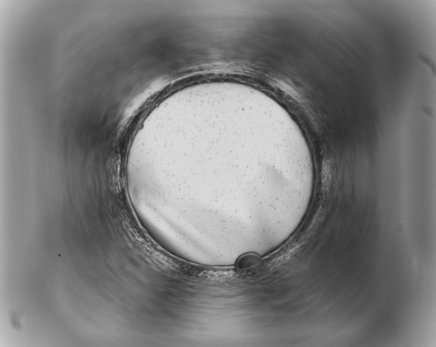 X0000102481310200808291618