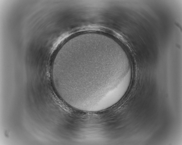 X0000102481312200808291618