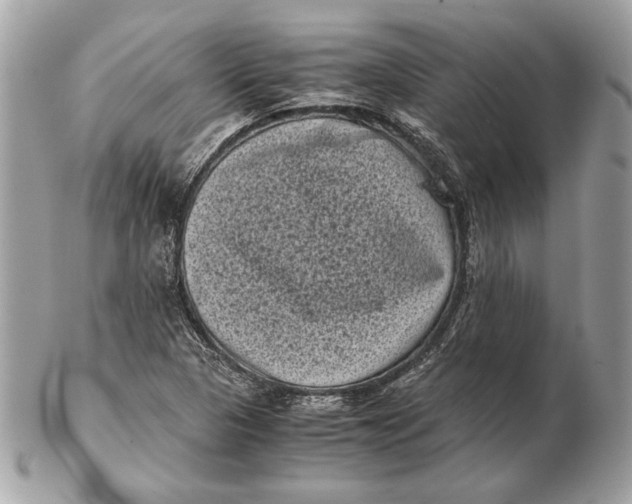 X0000102481313200808291618