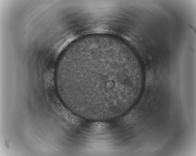 X0000102481314200808291618