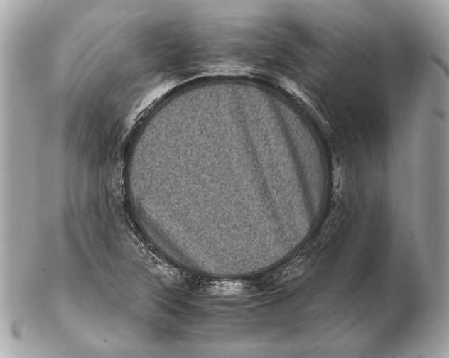 X0000102481315200808291618