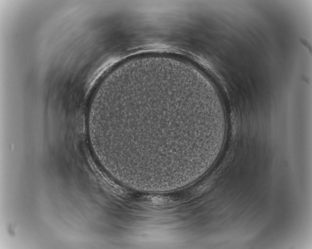 X0000102481318200808291618