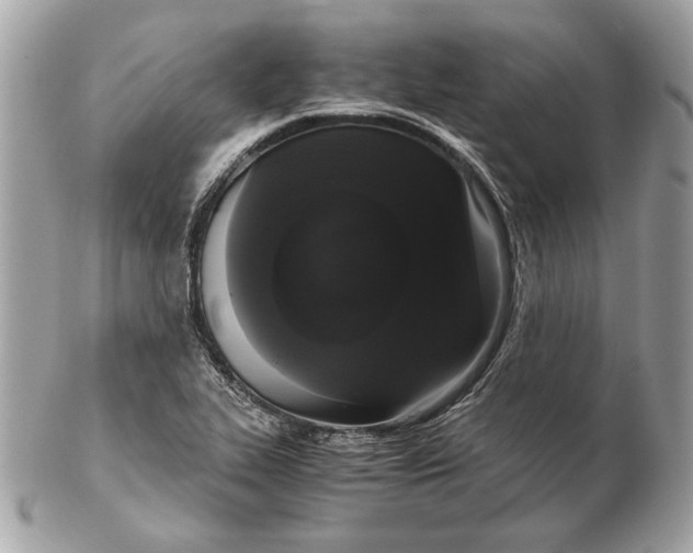 X0000102481319200808291618