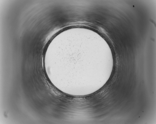 X0000102481320200808291618