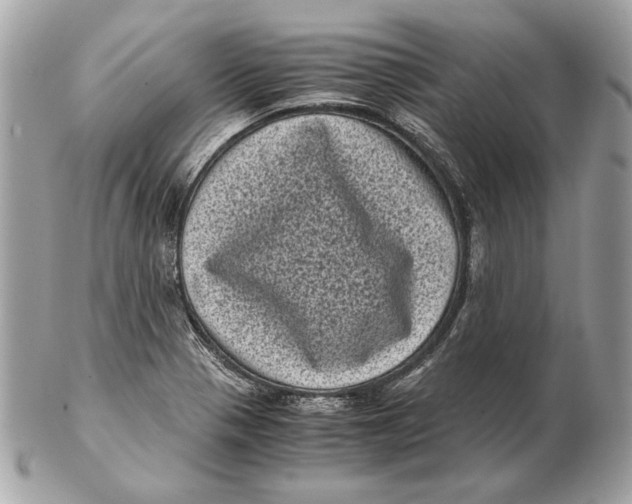 X0000102481321200808291618