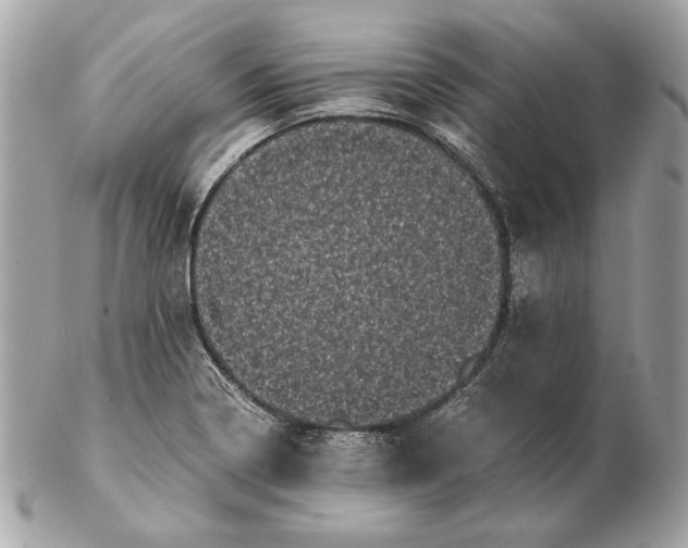 X0000102481322200808291618