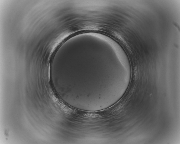 X0000102481323200808291618