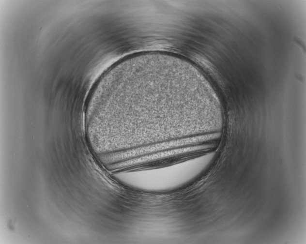 X0000102481324200808291618