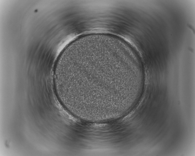 X0000102481325200808291618