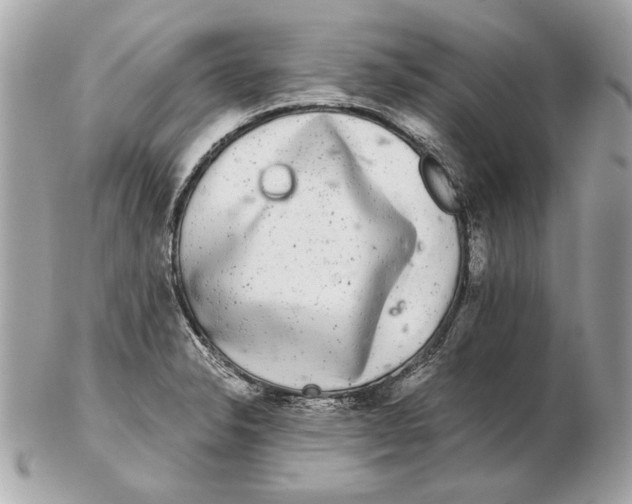 X0000102481326200808291618