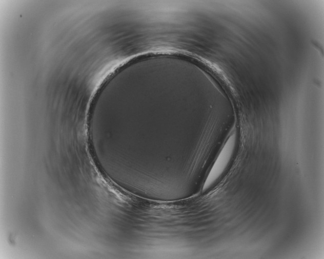 X0000102481327200808291618