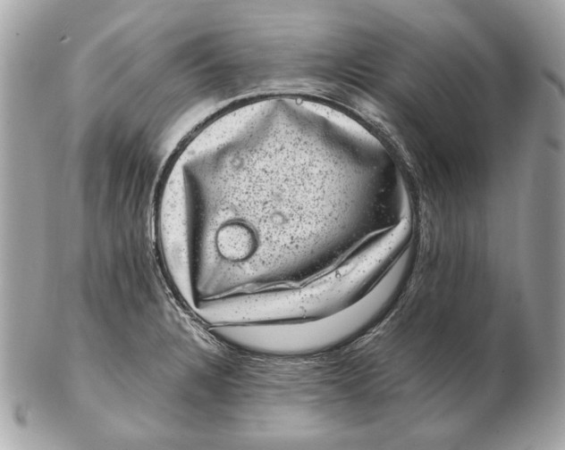 X0000102481328200808291618