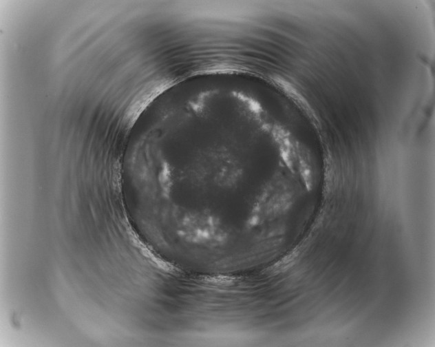 X0000102481329200808291618