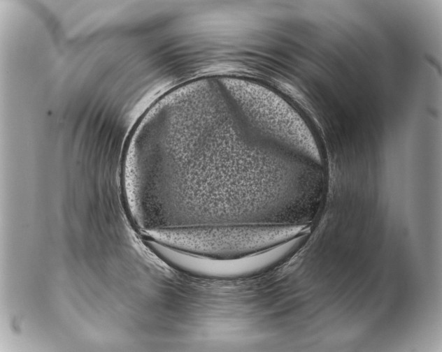 X0000102481330200808291618