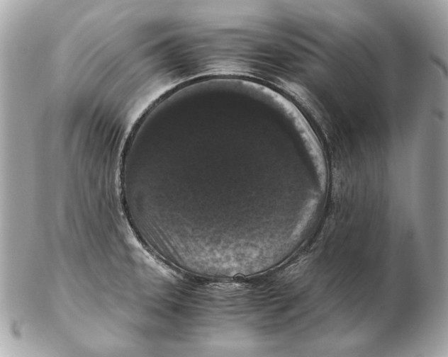 X0000102481331200808291618