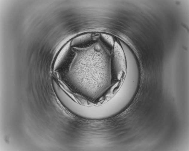 X0000102481332200808291618