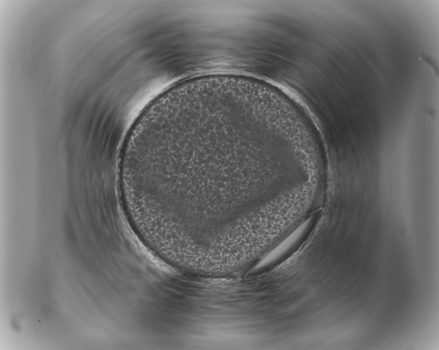 X0000102481333200808291619