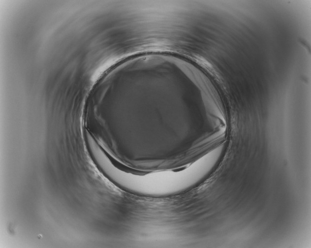 X0000102481334200808291619