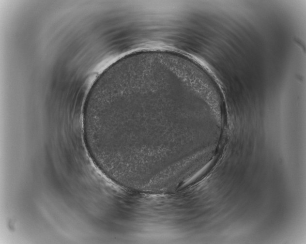 X0000102481335200808291619