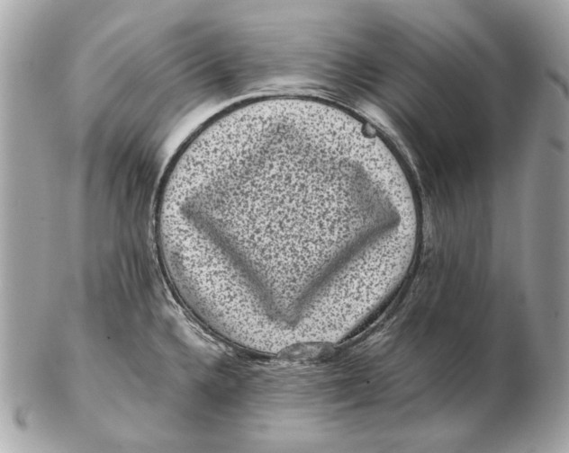 X0000102481336200808291619