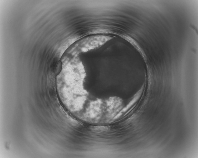 X0000102481337200808291619