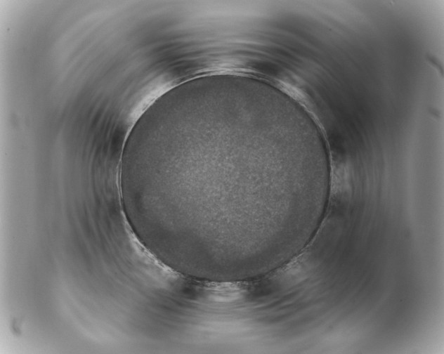 X0000102481338200808291619